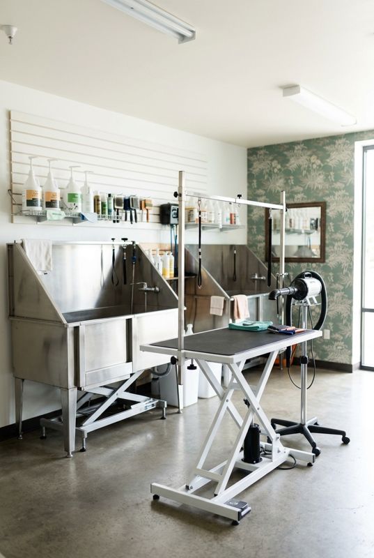 The grooming room: tubs, a lift table and dryers by the window