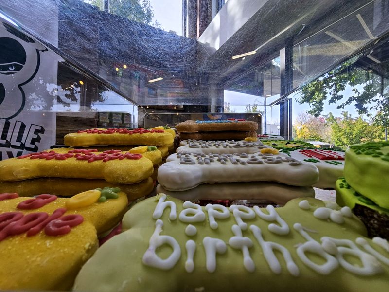 Close-up of decorated dog cookies in the treat case, one iced with “happy birthday”