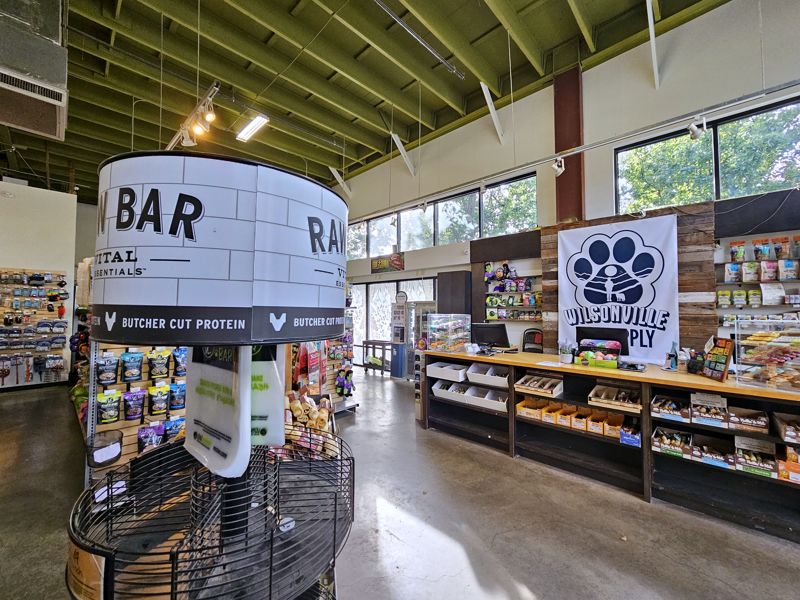 The Raw Bar freezer display in front of the register counter and a big paw-print Wilsonville Pet Supply banner, with tall windows behind